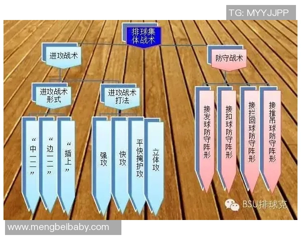 上海与深圳排球队对决后的战术分析与节奏探讨 上海与深圳排球队对决后的战术分析与节奏探讨