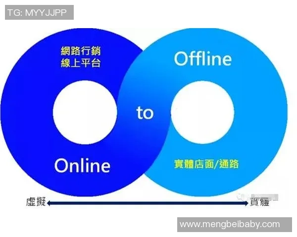 广州排球队的战术创新与运营体系探析 广州排球队的战术创新与运营体系探析