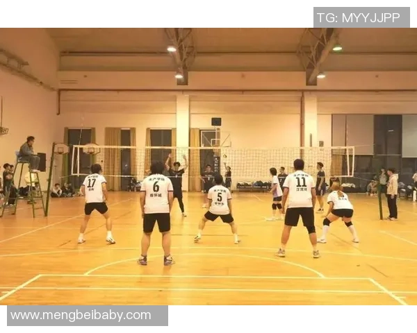 重庆排球队的灵活性揭秘:排球运动中的技巧与团队协作之道 重庆排球队的灵活性揭秘:排球运动中的技巧与团队协作之道