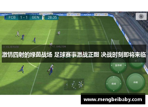激情四射的绿茵战场 足球赛事激战正酣 决战时刻即将来临